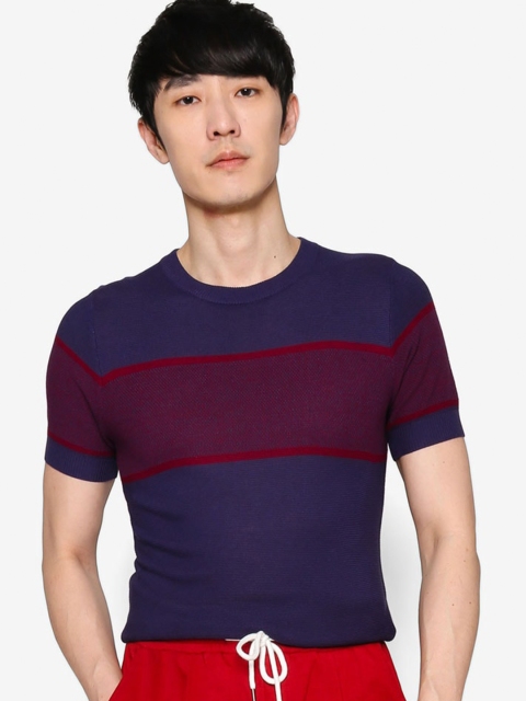 

ZALORA BASICS Men Violet Round Neck Short Sleeves Sweater