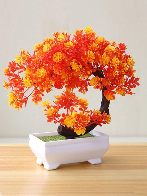 

TIED RIBBONS Orange Bonsai Plant with Pot