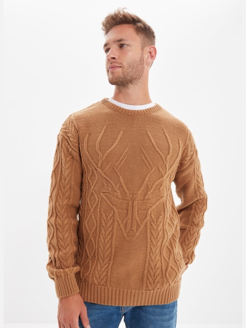 

Trendyol Men Camel Brown Cable Knit Pullover