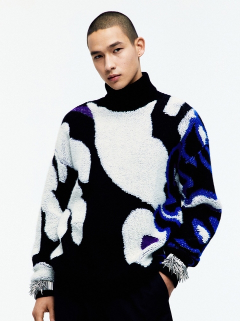 

H&M Women Black Jacquard Knit Wool Jumper