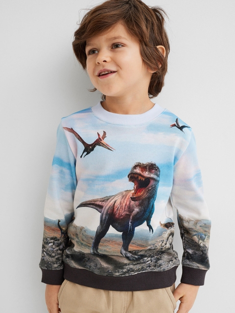 

H&M Boys Blue Printed sweatshirt