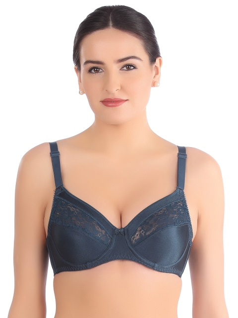 

Triumph Blue Medium-Coverage Lace Bra 226I470 EN