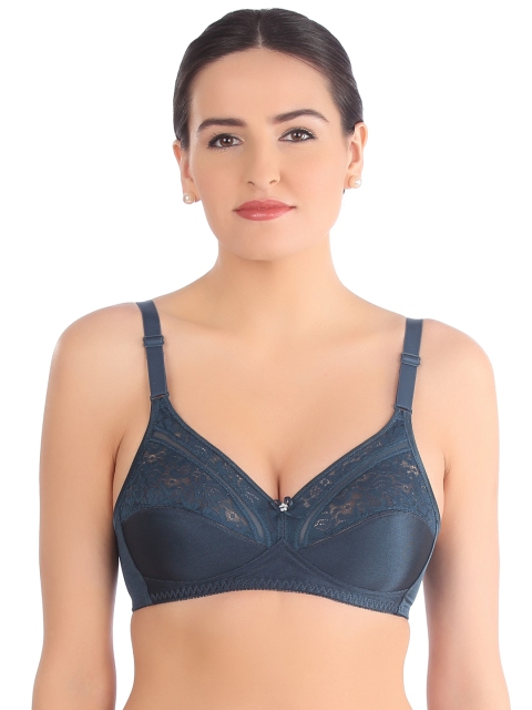 

Triumph Blue Medium-Coverage Lace Bra 203I172 EN