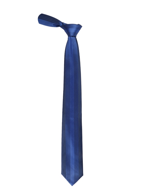 

Alvaro Castagnino Men Blue Woven Design Skinny Tie
