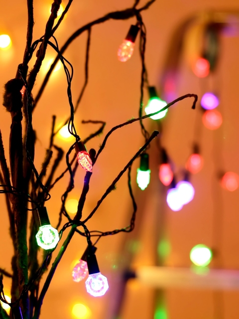 

TAYHAA Multicoloured Wonderful & Gleaming String Lights, Multi