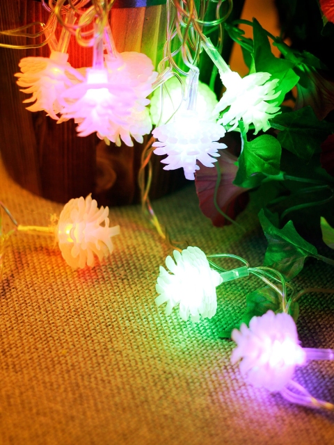 

TAYHAA Multicoloured 20 Floral Shape LED String Lights, Multi