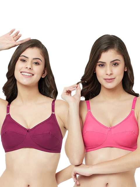 

GROVERSONS Paris Beauty Pack Of 2 Burgundy & Pink Everyday Bra