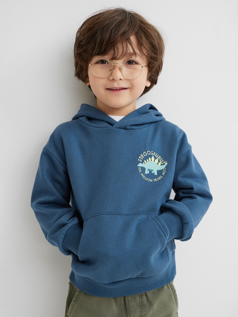 

H&M Boys Blue Hoodie
