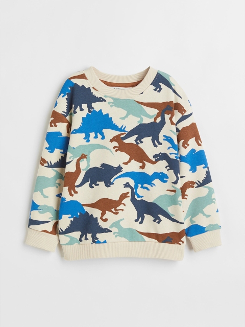 

H&M Boys Beige & Blue Printed Sweatshirt
