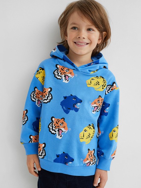 

H&M Boys Blue Hoodie