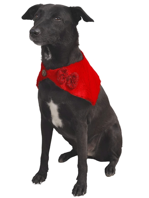 

Dchica Paws Red Fur Winter Collar For Dogs & Puppies