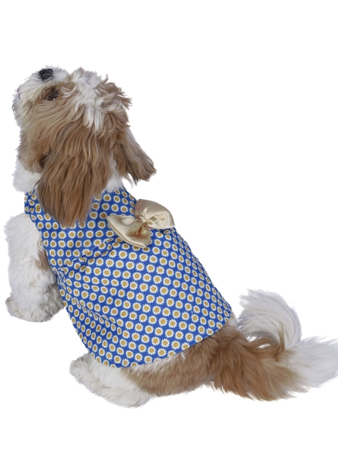 

Dchica Paws Blue & White Printed For Female Dog & Puppies Dress