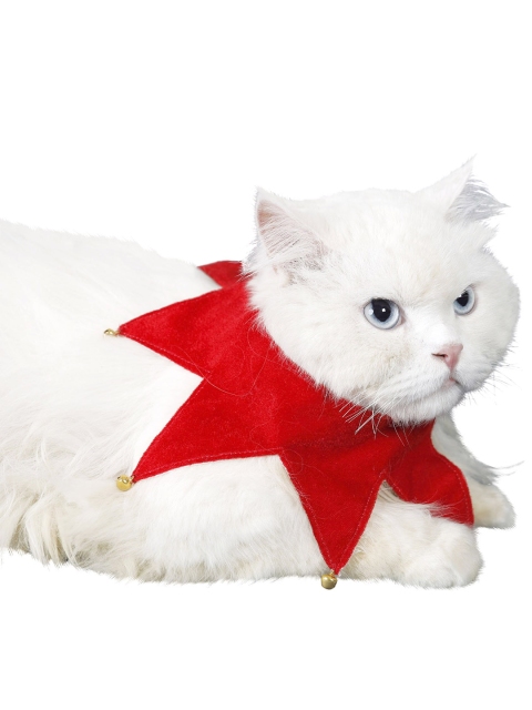 

Dchica Paws Red Jingle Collar For Dog & Cats