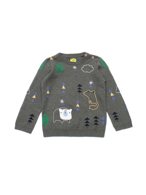 

Lil Lollipop Unisex Kids Grey & Green Printed Pure Cotton Pullover