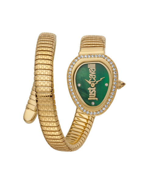 

Just Cavalli Women Gold-Toned Embellished Dial Stainless Steel Analogue Watch JC1L167M0025