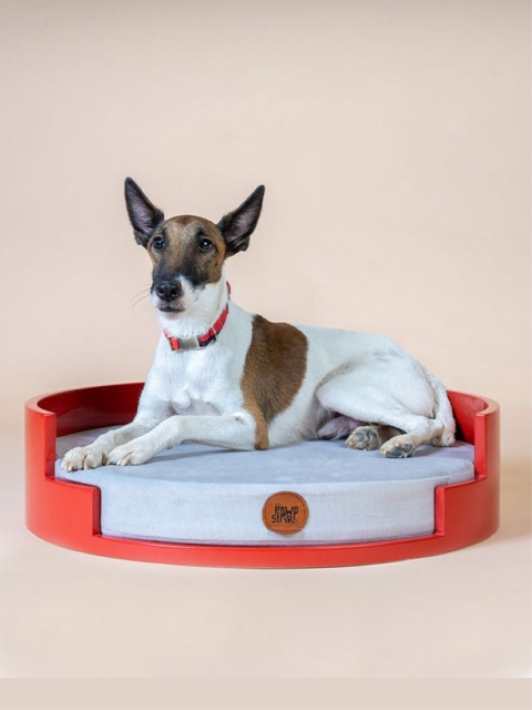 

thepawpstarco White & Red Solid Cotton Saucer Dog Bed