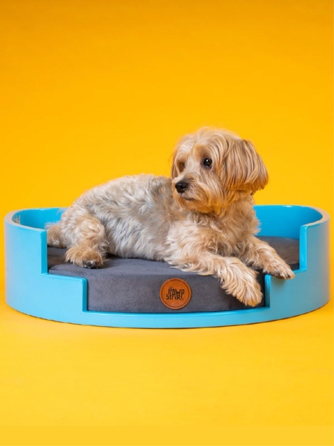 

thepawpstarco Blue & Black Solid Cotton Arc Pet Bed