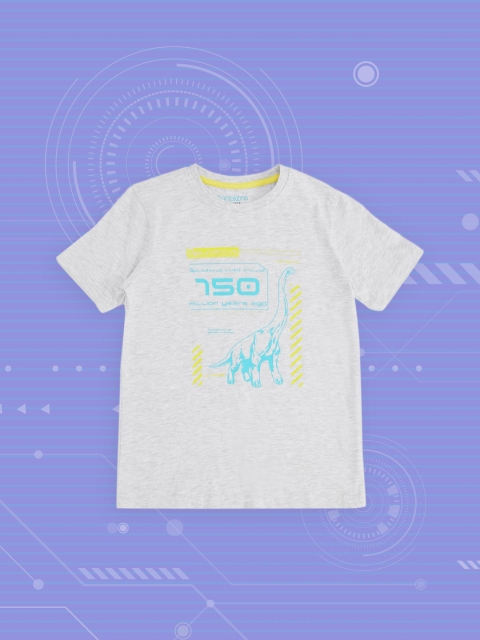 

Pantaloons Junior Boys Grey Melange & Blue Printed Pure Cotton T-shirt