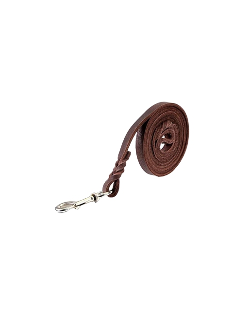 

Emily pets Brown Adjustable Leash for Puppy & Small Breed Dogs