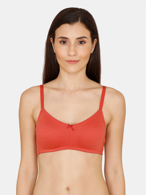 

Zivame Rust Coloured Everyday Bra