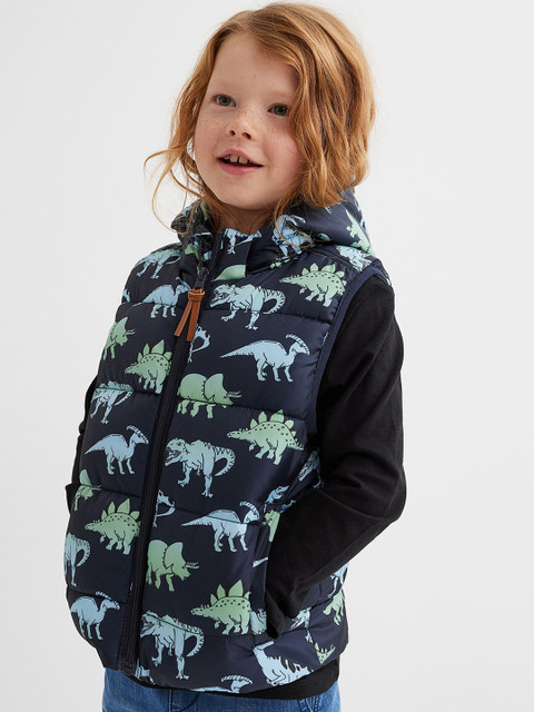 

H&M Boys Blue & Green Printed Hooded Puffer Gilet
