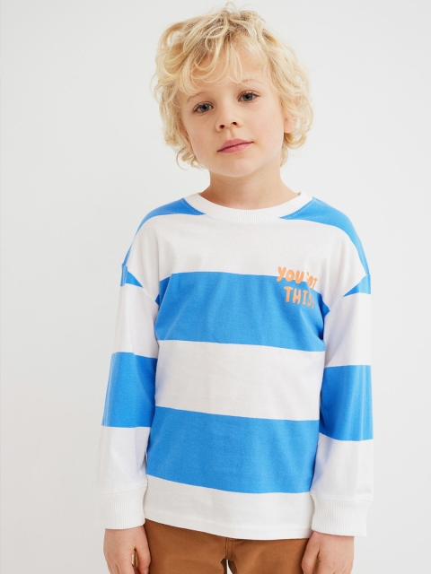 

H&M Boys Blue Cotton Jersey Top