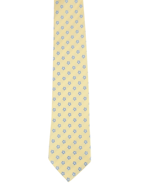 

Alvaro Castagnino Men Yellow & Blue Printed Skinny Tie