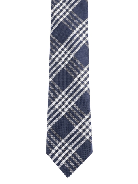 

Alvaro Castagnino Men Blue & White Checked Skinny Tie