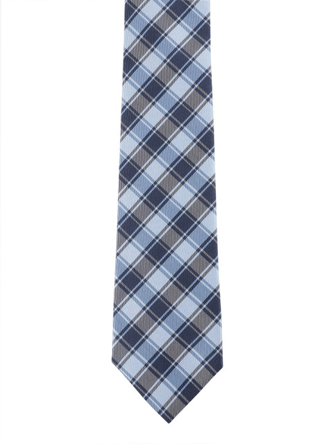 

Alvaro Castagnino Men Blue Checked Skinny Tie