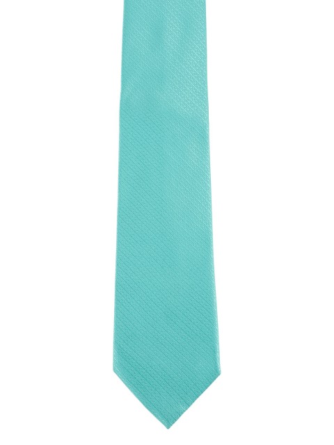 

Alvaro Castagnino Men Turquoise Blue Skinny Tie