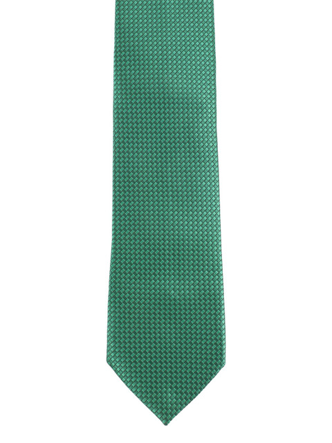 

Alvaro Castagnino Men Green & Black Skinny Tie