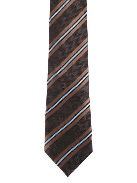 

Alvaro Castagnino Men Brown Striped Skinny Tie