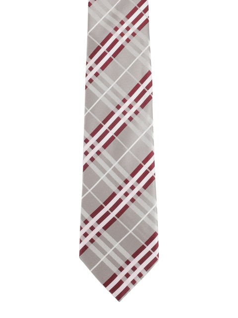 

Alvaro Castagnino Men Grey Checked Skinny Tie