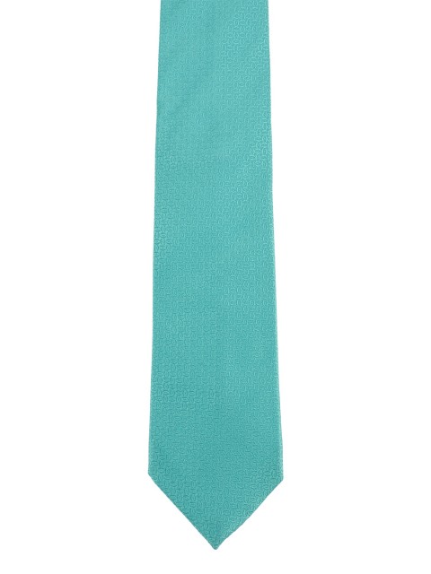 

Alvaro Castagnino Men Turquoise Blue Solid Skinny Tie