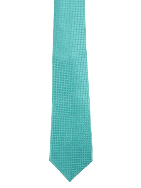 

Alvaro Castagnino Men Turquoise Blue Broad Tie
