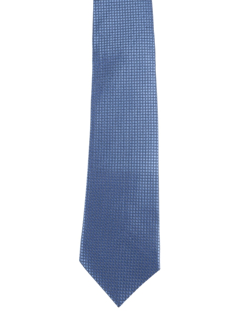 

Alvaro Castagnino Men Blue Checked Skinny Tie