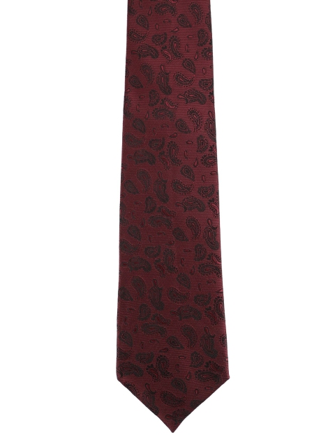 

Alvaro Castagnino Men Maroon Printed Skinny Tie