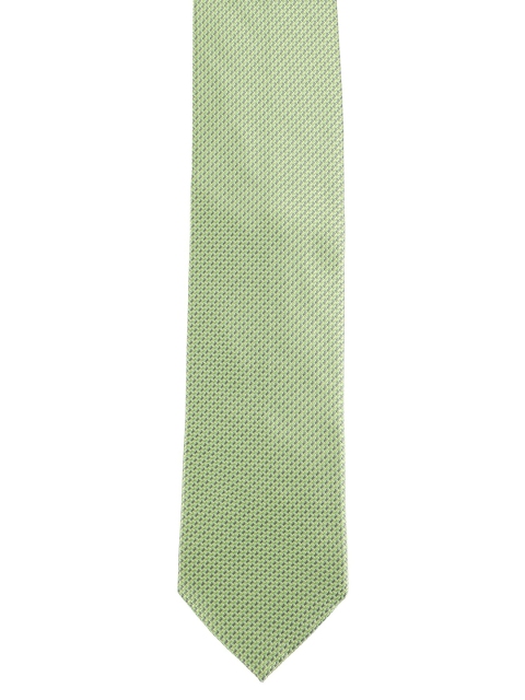 

Alvaro Castagnino Men Green Woven Design Broad Tie