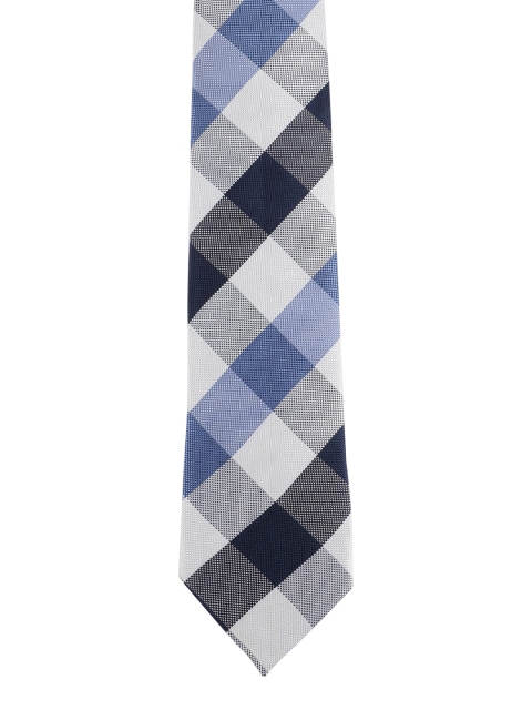 

Alvaro Castagnino Men Blue & White Checked Broad Tie
