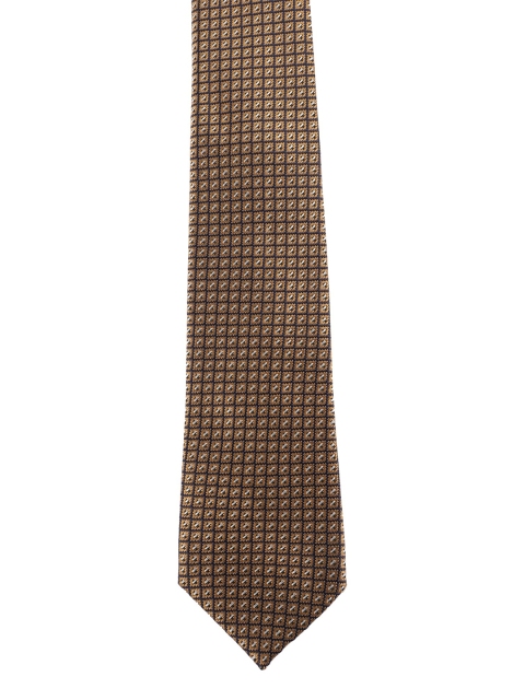 

Alvaro Castagnino Men Brown Woven Design Skinny Tie