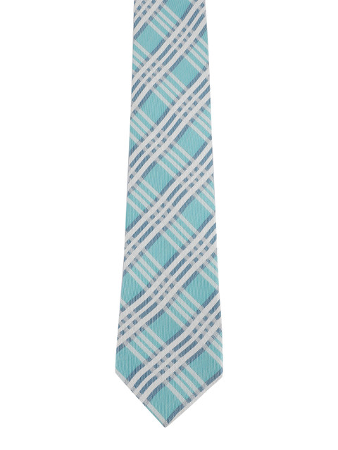

Alvaro Castagnino Men Turquoise Blue Checked Skinny Tie