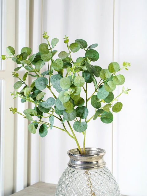 

Pure Home and Living Green Eucalyptus Plant