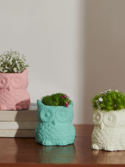 

Chumbak Set of 3 Ceramic Wise Owl Planter, Pink
