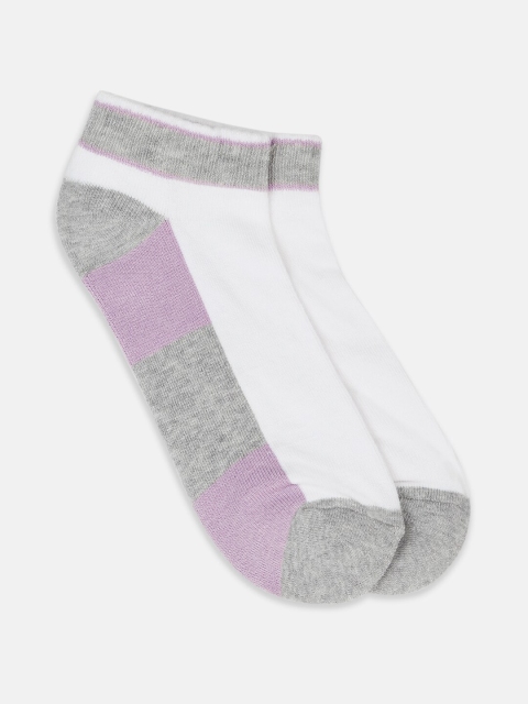 

Ajile by Pantaloons Women White & Grey Colourblocked Ankle-Length Socks