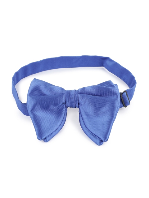 

Alvaro Castagnino Men Blue Bow Tie