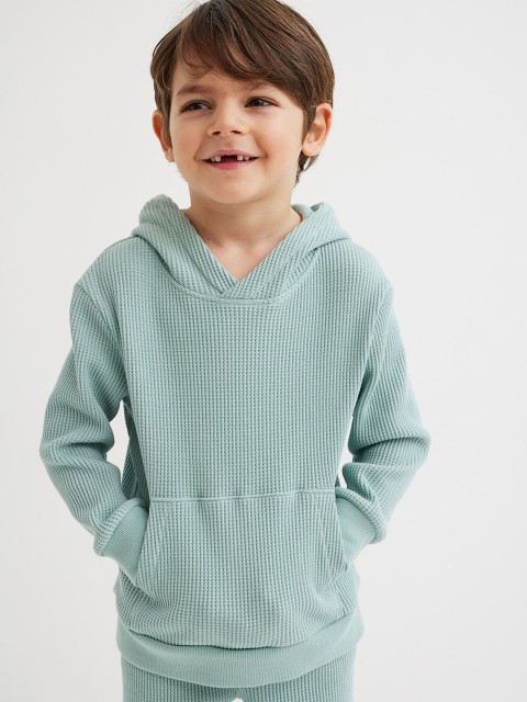 

H&M Boys Turquoise Blue Self Design Hooded Top