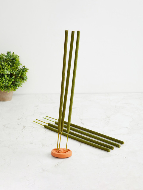 

Home Centre 7 Pcs Green Gardenia-Citronella Incense Sticks With Terracota Holder