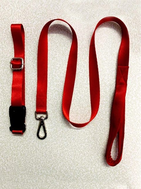 

WIGGLE TWIDDLE Red Solid Dog Leash & Collar Set