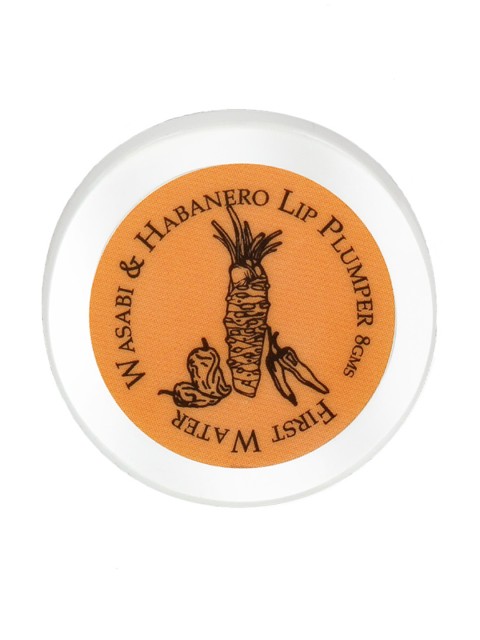 

FIRST WATER Wasabi & Habanero Lip Plumper - Vegan - 8 g, Rust