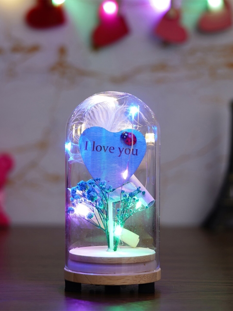 

eCraftIndia Blue & Transparent Flower With Heart Message Note & Lights Jar Gift Set